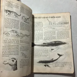1000 kiến thức kỳ thú cho mọi người 791988