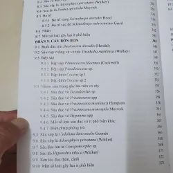 CÔN TRÙNG NHỆN GÂY HẠI CÂY ĂN TRÁI....  799628