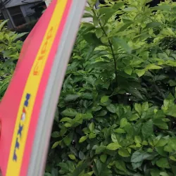 Đổi mới sáng tạo báo chí 2020 - 21 báo cáo toàn cầu 995515