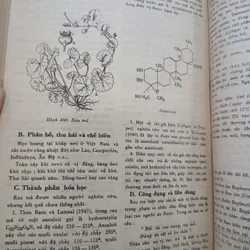 NHỮNG CÂY THUỐC VÀ VỊ THUỐC VIỆT NAM - ĐỖ TẤT LỢI 740042