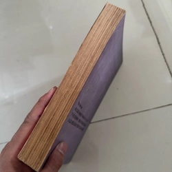 Tại sao việt nam 502286