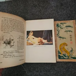 Thưởng ngoạn hội họa 754008