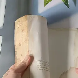 Bí mật đảo Lincoln - Jules Verne 607696