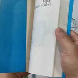 Người Đi Tìm Ngọn Đuốc Thiêng - Thanh Giang 798320