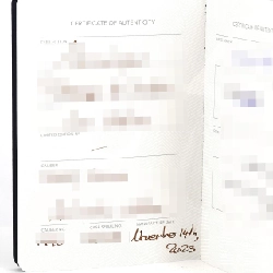 Chapeck Antarctic Passage de Drake Ice White ICE WHITE 12 RED TIP HAND SS tự động - Hàng hiệu Authentic 880474