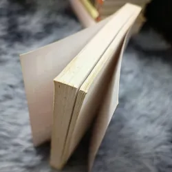 Truyện ngắn Bảo Ninh 758931