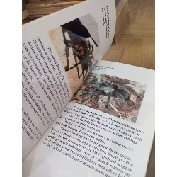 A color guide to Tarantulas of the World - Russ Gurley 1017637