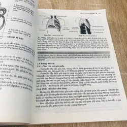 SINH LÝ HỌC Y KHOA 529537