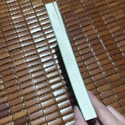 Nỗi cô đơn của các số nguyên tố 531140