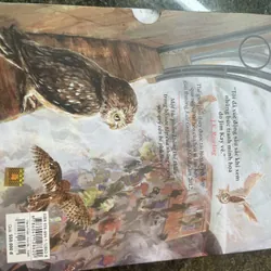 Harry Potter và hòn đá phù thuỷ Bản đặc biệt J.K. Rowling 607420