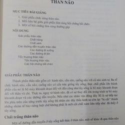 THẦN KINH HỌC  525516