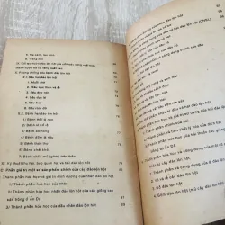 CÂY ĐÀO LỘN HỘT 960189