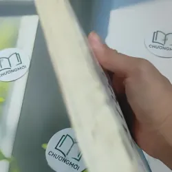 Tâm Tĩnh Lặng - Achaan Chah 727369