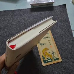 Trùng hưng thuở ấy - tô như 755397