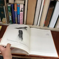 II Atlas der Anatomie des Menschen - Band 1 + 2 - Bertolini, Leutert - 1987 593995