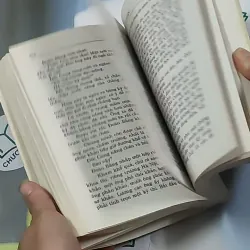 Lều chõng - Tác phẩm và dư luận 698621