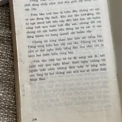 Cây đàn Miến Điện -Takeyama Michio 1003077