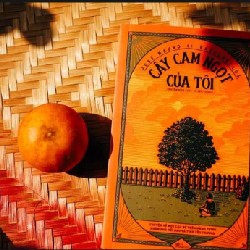 Cây cam ngọt của tôi