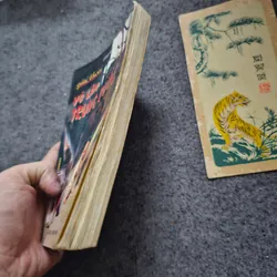 Võ lâm trung quốc 733967