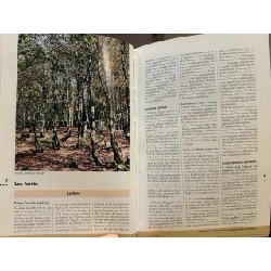 L’asace et les vosges 999604