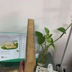 Chuyện Trò - Cao Huy Thuần, mới 70% (ố vàng) (Hat Cai) 289941