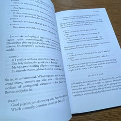 Romeo and Juliet William Shakespeare 392239