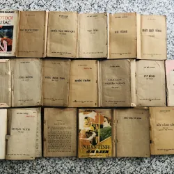 17 cuốn tiểu thuyết Hồ Biểu Chánh 960049