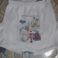 Áo thun nữ form boxy