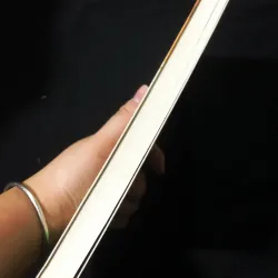 Trộm hay lời thú chạy của chiếc gai - Kim Ryeo Ryeong 785926