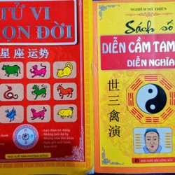 Combo sách tử vi: Tử vi trọn đời + diễn cầm tam thế 70861