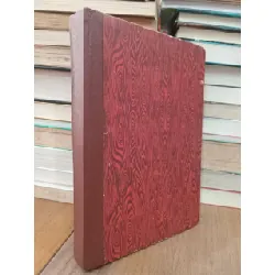 Kỹ thuật nuôi cá trê phi