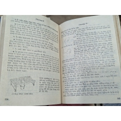 Chăm sóc sức khỏe - David Werner 126979