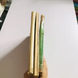 BỘ 3 TẬP ANH-NGỮ THỰC-DỤNG – BẢN IN XƯA l (1964–1968) 751219