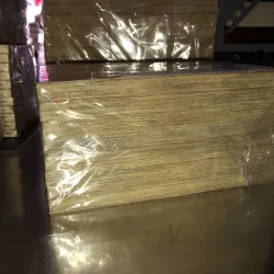 Sắc lệnh ánh trăng - Fujita Kazuhiro 1026031