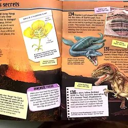 FANTASTIC SCIENCE FACTS - MILES KELLY 1044771