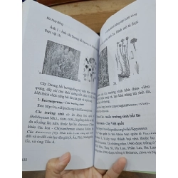 Tự chữa bệnh bằng cây lược vàng - Bùi Huy Bằng (biên soạn) 505351