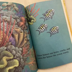 ✨𝑶𝒄𝒕𝒐𝒑𝒖𝒔 𝑼𝒏𝒅𝒆𝒓 𝑻𝒉𝒆 𝑺𝒆𝒂✨ sách cũ ngoại văn, Early Readers 589226