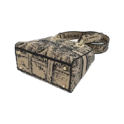 Túi xách nữ D-Light Medium PLAN DE PARIS của Christian Dior 618671