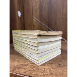 Truyện tranh Công chúa giả mạo - Hwang Mi-ri