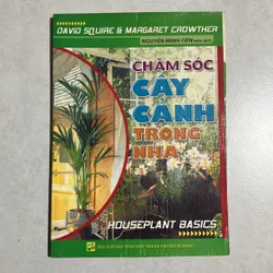 Chăm sóc cây cảnh trong nhà