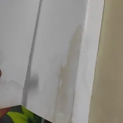 Con Chó Nhỏ Mang Giỏ Hoa Hồng - Nguyễn Nhật Ánh 798468