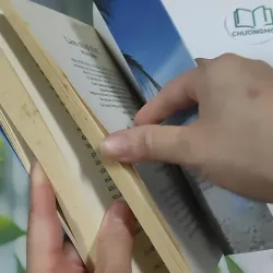 Làm Như Chơi - Minh Niệm 787097