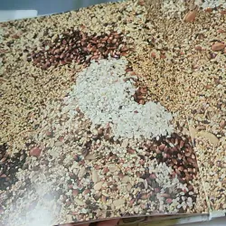 [Tặng nẹp góc] Truyện thiếu nhi Hàn Quốc: Moyamo Anu 56 -  모야모 아누와: 카멜레온에게 혼쭐난 아난시 732060