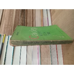 Cái đẹp một giá trị - Đỗ Huy 732656