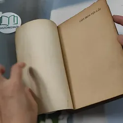 [XƯA] Còn Hơn Tội Lỗi (1991) - Barney Leason 776056