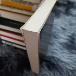 Bùi Giáng trong cõi người ta 993528