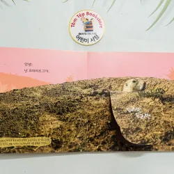 Set boardbook tranh ảnh động vật, thực vật chó bé B30 l 1043706