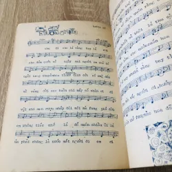 HOA SOAN BÊN THỀM CŨ 1972 993284