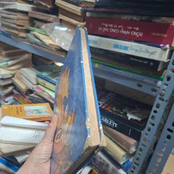 Chuyện phiêu lưu của mít đặc và các bạn 931218