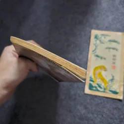 Cuộc sống hoang dã của Robinson 734696